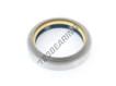 COMBI-65X85X13-17-NBR-CORTECO