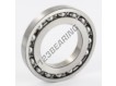 16008-SKF