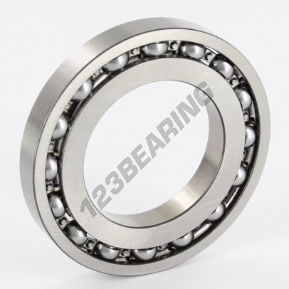 16008-SKF