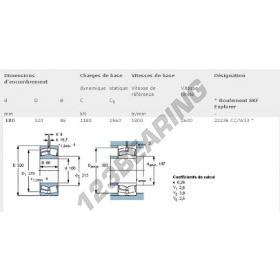 22236-CC-W33-SKF