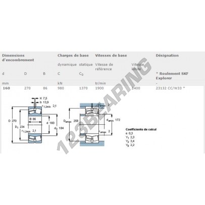 23132-CC-W33-SKF