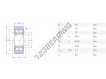 305807-ZZ-INA