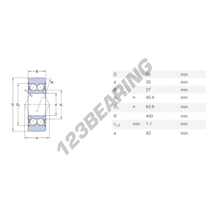 305807-ZZ-INA