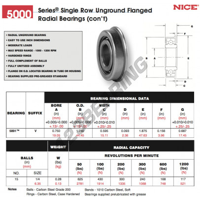 5891-V-NICE