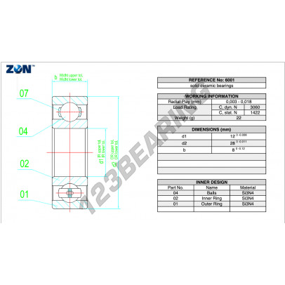 6001-CE-SI3N4-PTFE-ZEN