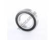 6009-2RS-ZEN