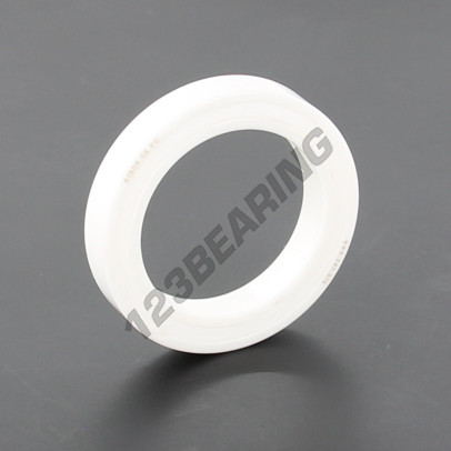 61806-2RS-CE-FC-PTFE-ZRO2-ZEN