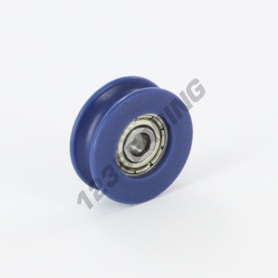 623-17-ZZ-RW1