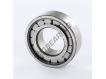 BC1-0013DD-SKF