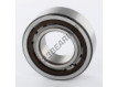 BC1-0313-SKF