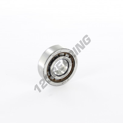 BC1-0538-SKF