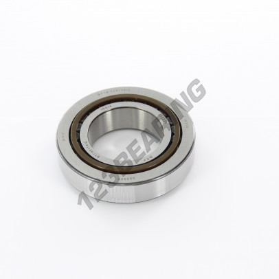 BT1-0017A-Q-SKF