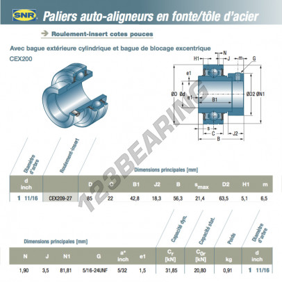 CEX209-27-SNR