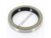 DB-62X83X12-NBR