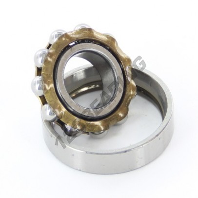 E13-SKF
