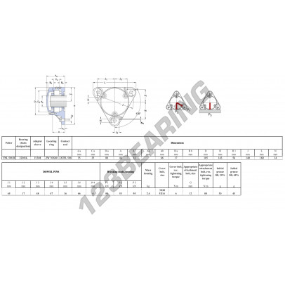 FNL-508-B-2208-K-H308-SKF