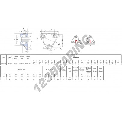 FNL-509-B-22209-K-H309-SKF