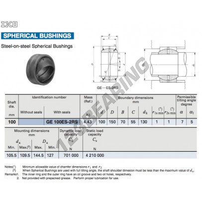 GE100ES-2RS-IKO