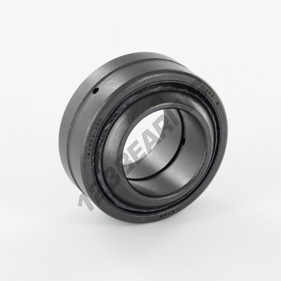 GE30GS-2RS-IKO