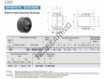 GE80GS-2RS-IKO