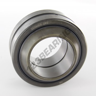 GEG060-ES-2RS