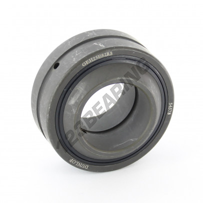 GEH25-ES-2RS-DUNLOP