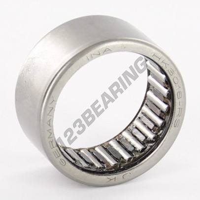 HK3018-RS-SKF