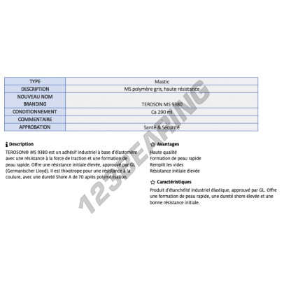 MS-9380-GREY-290ML-TEROSON