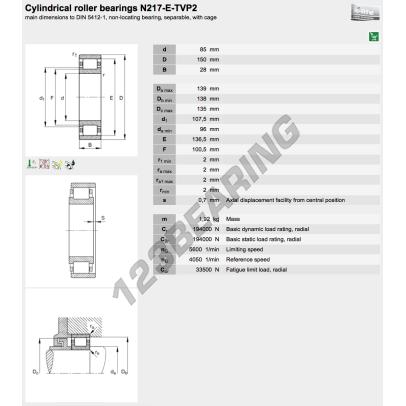 N217-E-XL-TVP2-C3-FAG