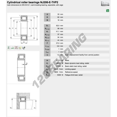 NJ206-E-XL-TVP2-C3-FAG