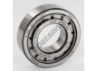 NJ206-ECJ-SKF