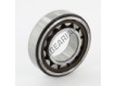 NJ206-ECP-C3-HVA624-SKF