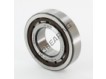 NJ206-ECP-C3-HVA624-SKF