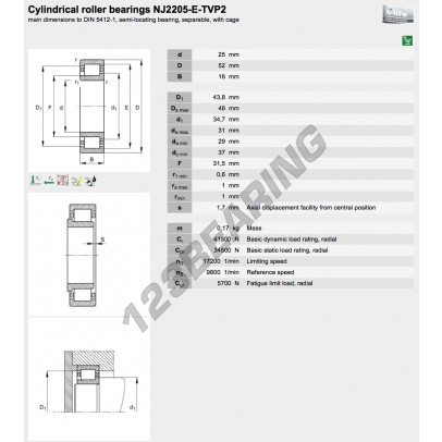 NJ2205-E-TVP2-C4-FAG