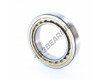 NU1015-ML-SKF