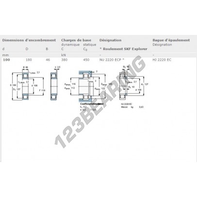 NU2220-ECP-SKF