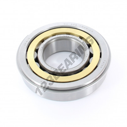 NU309-FM-NR-C3-ASFERSA