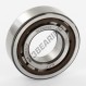 Rollenlager - NUP205-ECP-SKF