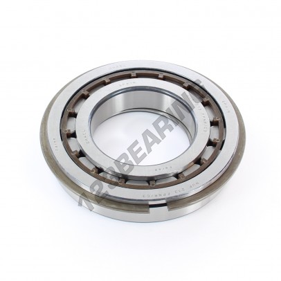 NUP213-FP-NR-C3-ASFERSA