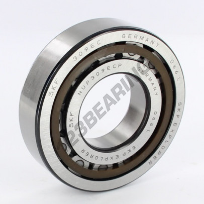 NUP309-ECP-SKF