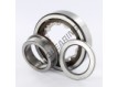 NUP310-ECP-SKF