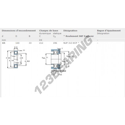NUP313-ECP-SKF