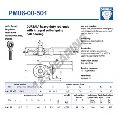 PM06-00-501-DURBAL