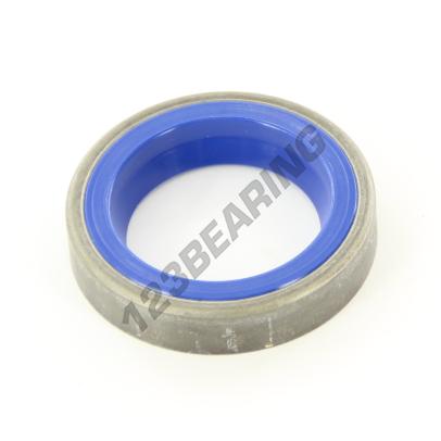 RAK-25X38X7.50-PU94