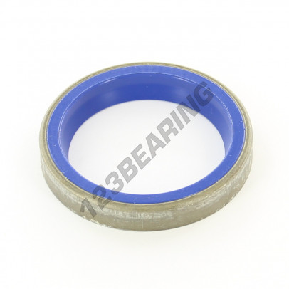 RAK-38X50X7.50-0-PU94