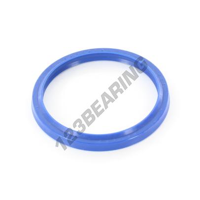 RDE-50X58X4.50-5.80-PU94