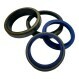 RS-45X55X5-7-PU94