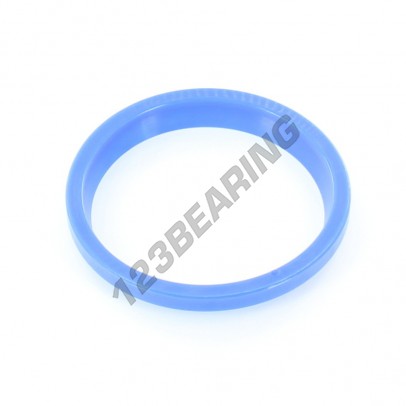 RS-65X76.60X6-10-PU94