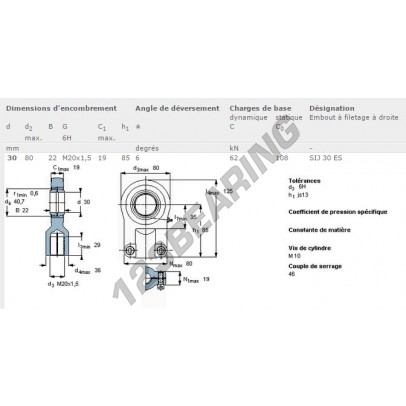 SIJ30-ES-SKF