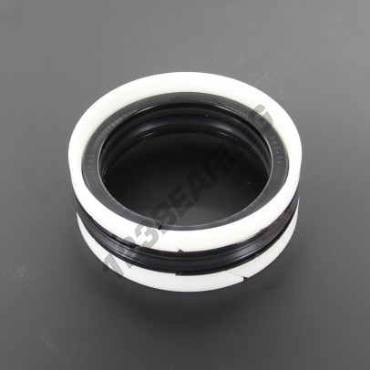 TP1-75X100X22.40-NBR80